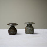 Raw Wood Fired Mushroom Teapets Teaware- Cha Moods