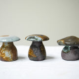 Raw Wood Fired Mushroom Teapets  Teaware- Cha Moods